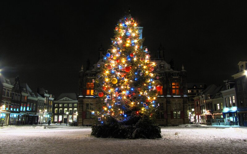 Christmas Tree in Town Square — Green, Festive, Night