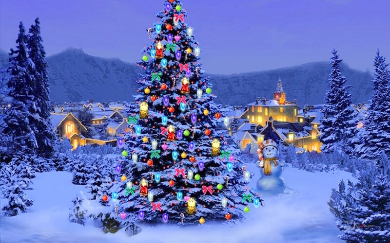 Christmas Tree in Village