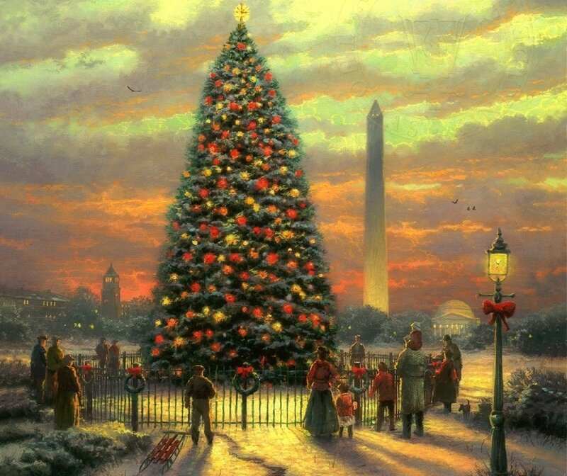 Christmas Tree in Washington