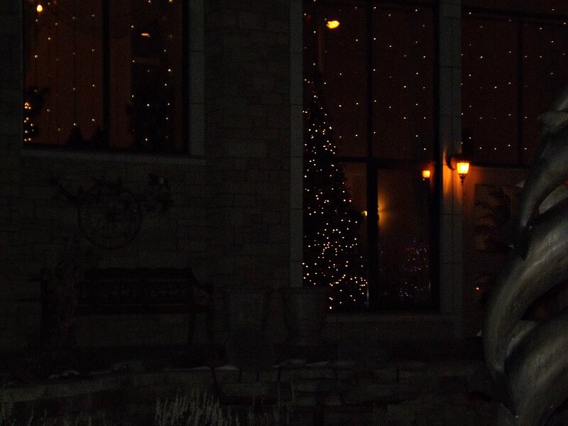 Christmas Tree in Window — Black