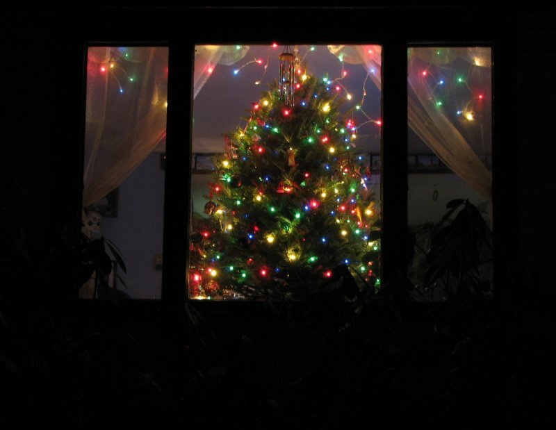 Christmas Tree in Window — Green