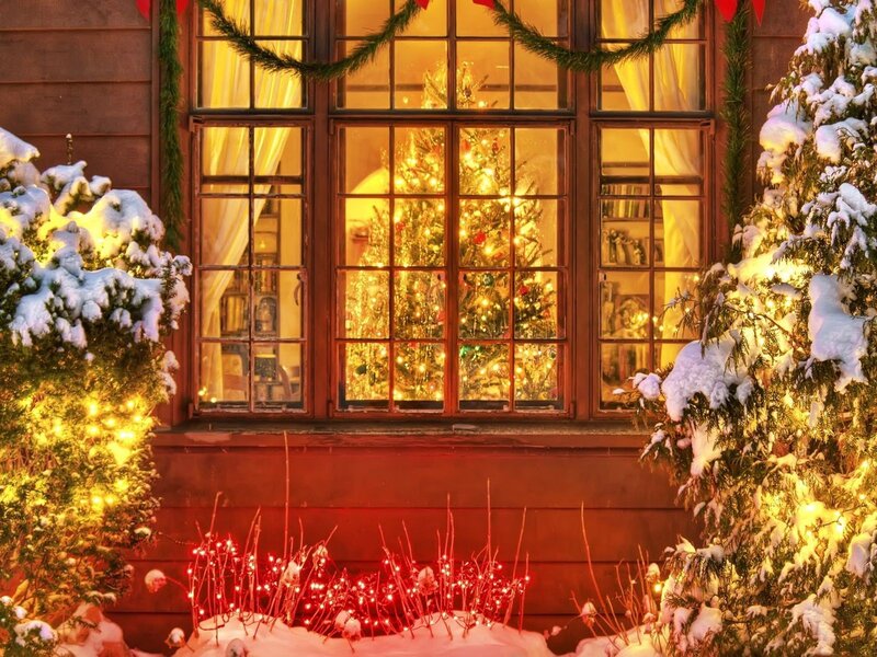 Christmas Tree in Window — Red, Festive, Winter