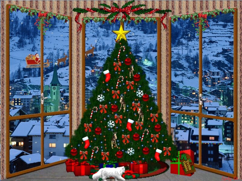 Christmas Tree in Window