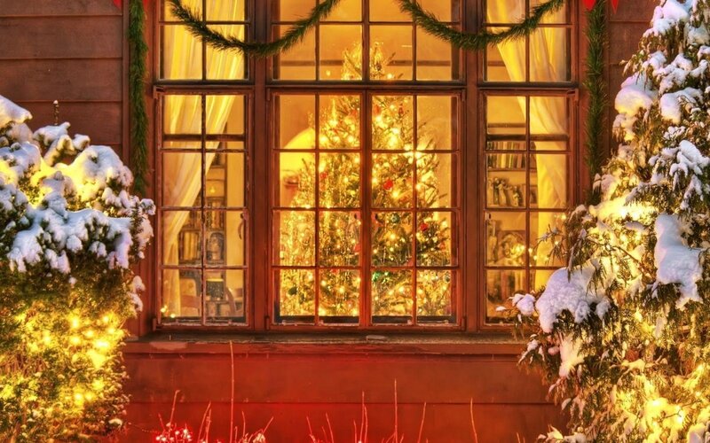 Christmas Tree in Window — Yellow, Cozy