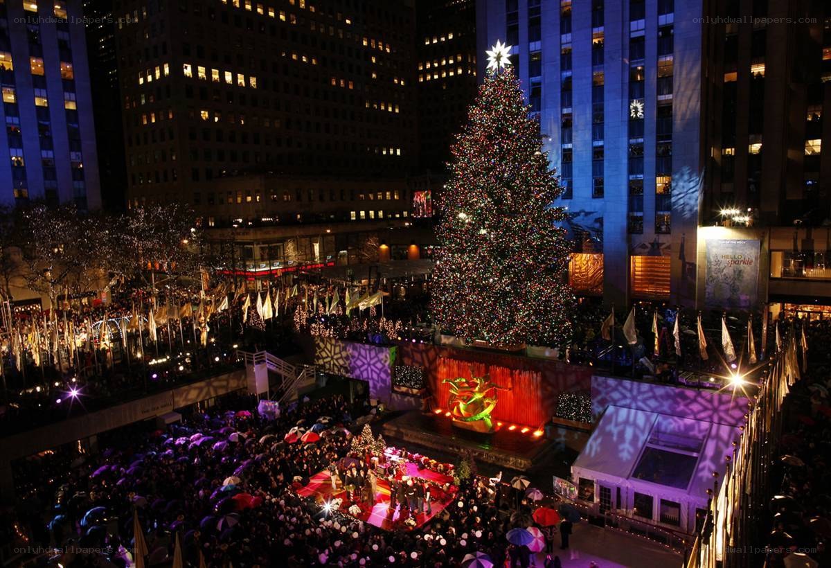 Christmas tree lighting ceremony