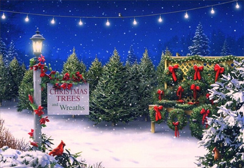 Christmas Tree Lot — Blue