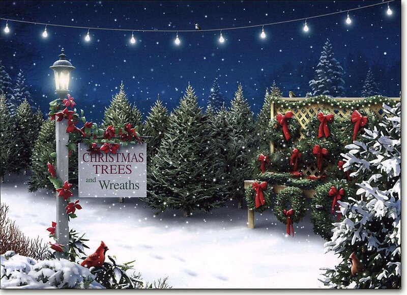 Christmas Tree Lot