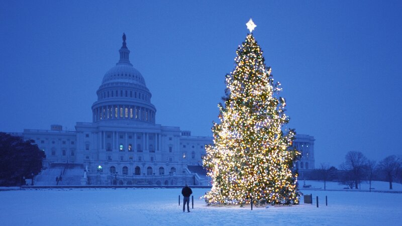 Christmas Tree Near Capitol — Blue