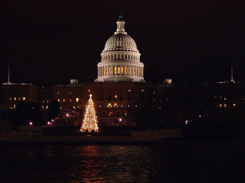 Christmas Tree Near Capitol