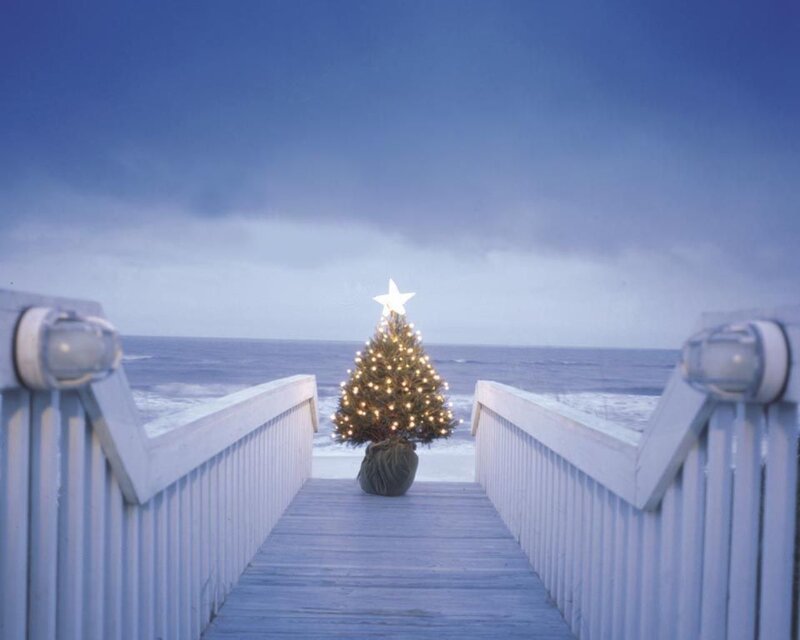 Christmas tree on a boardwalk