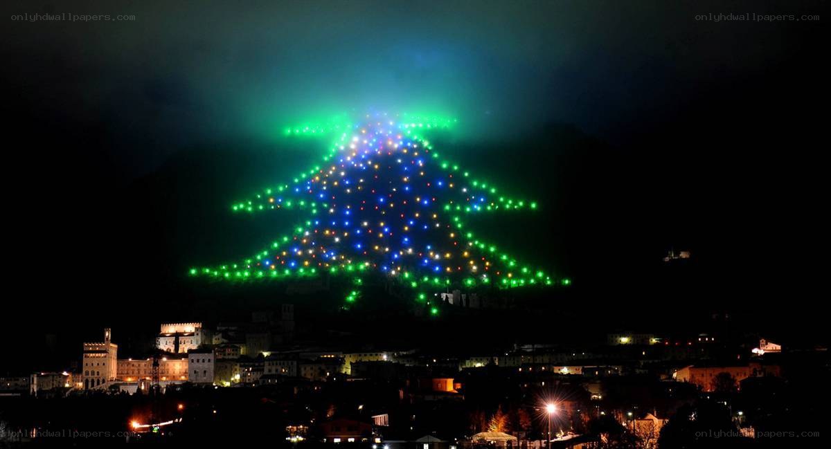 Christmas tree on a mountain