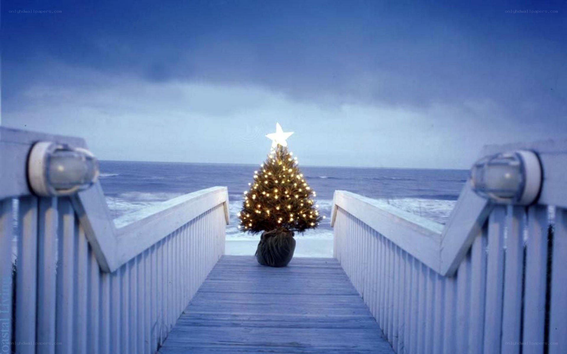 Christmas tree on a pier