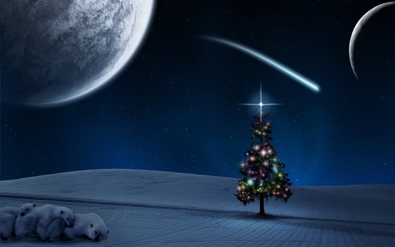 Christmas tree on alien planet