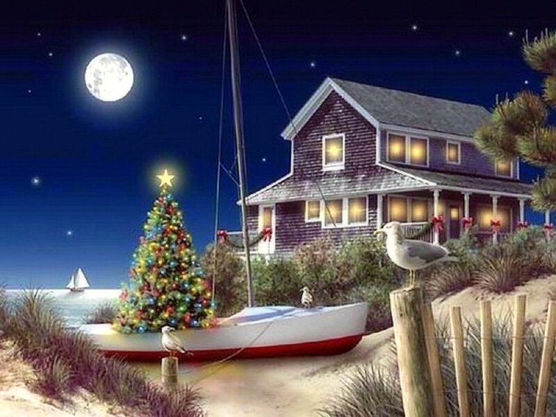 Christmas Tree on Beach