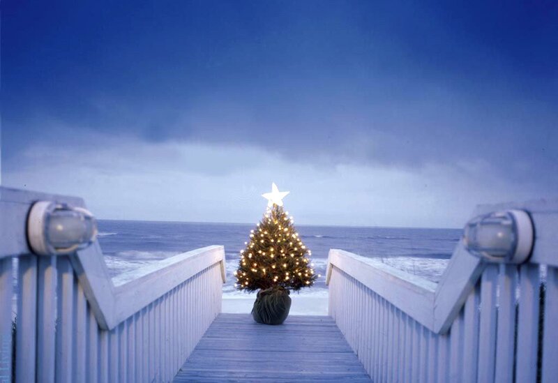 Christmas Tree on Pier