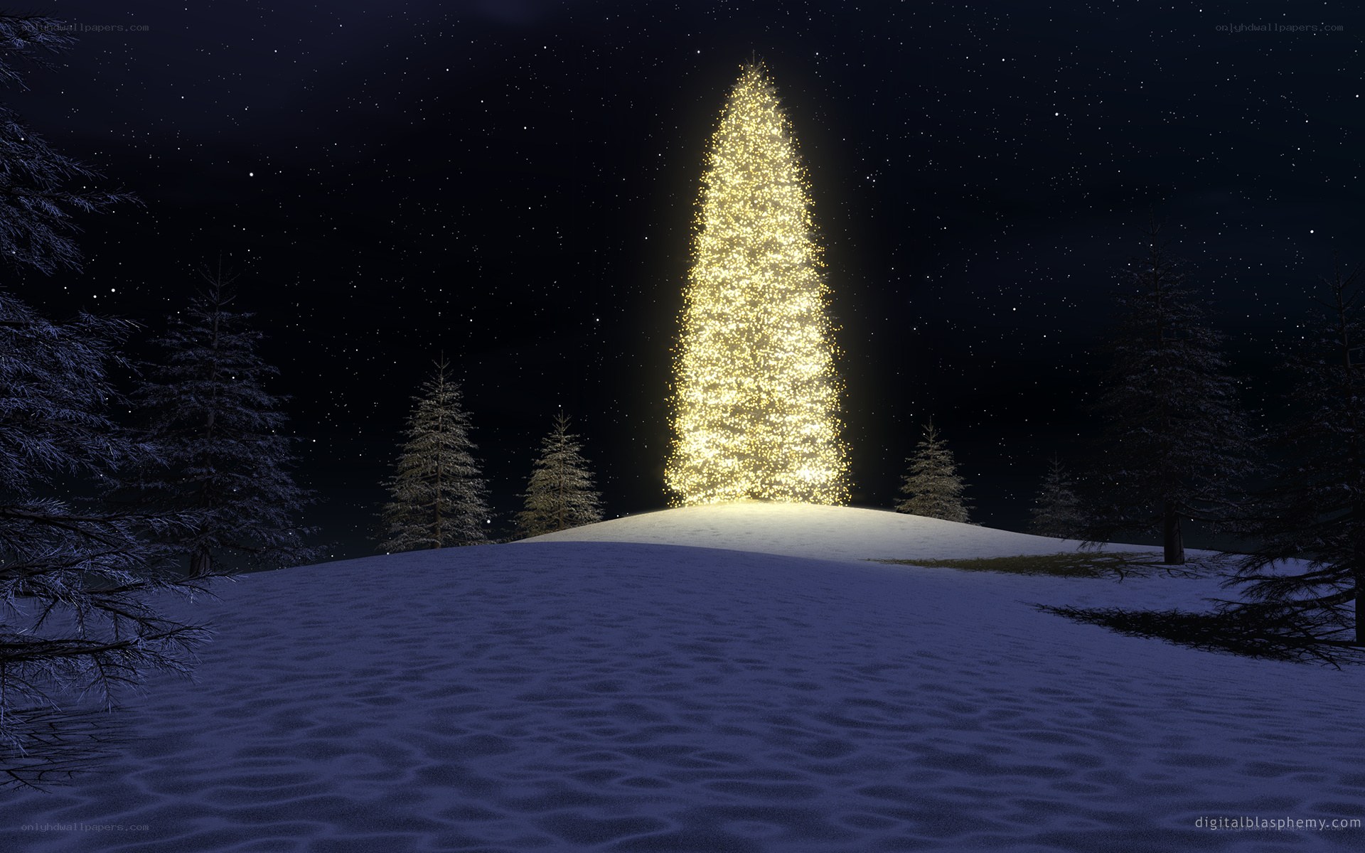 Christmas tree on snowy hill