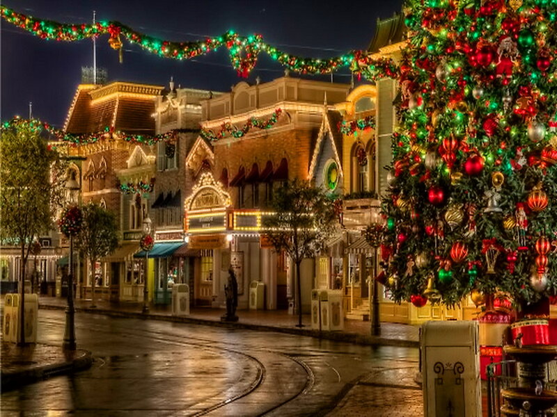 Christmas Tree on Street