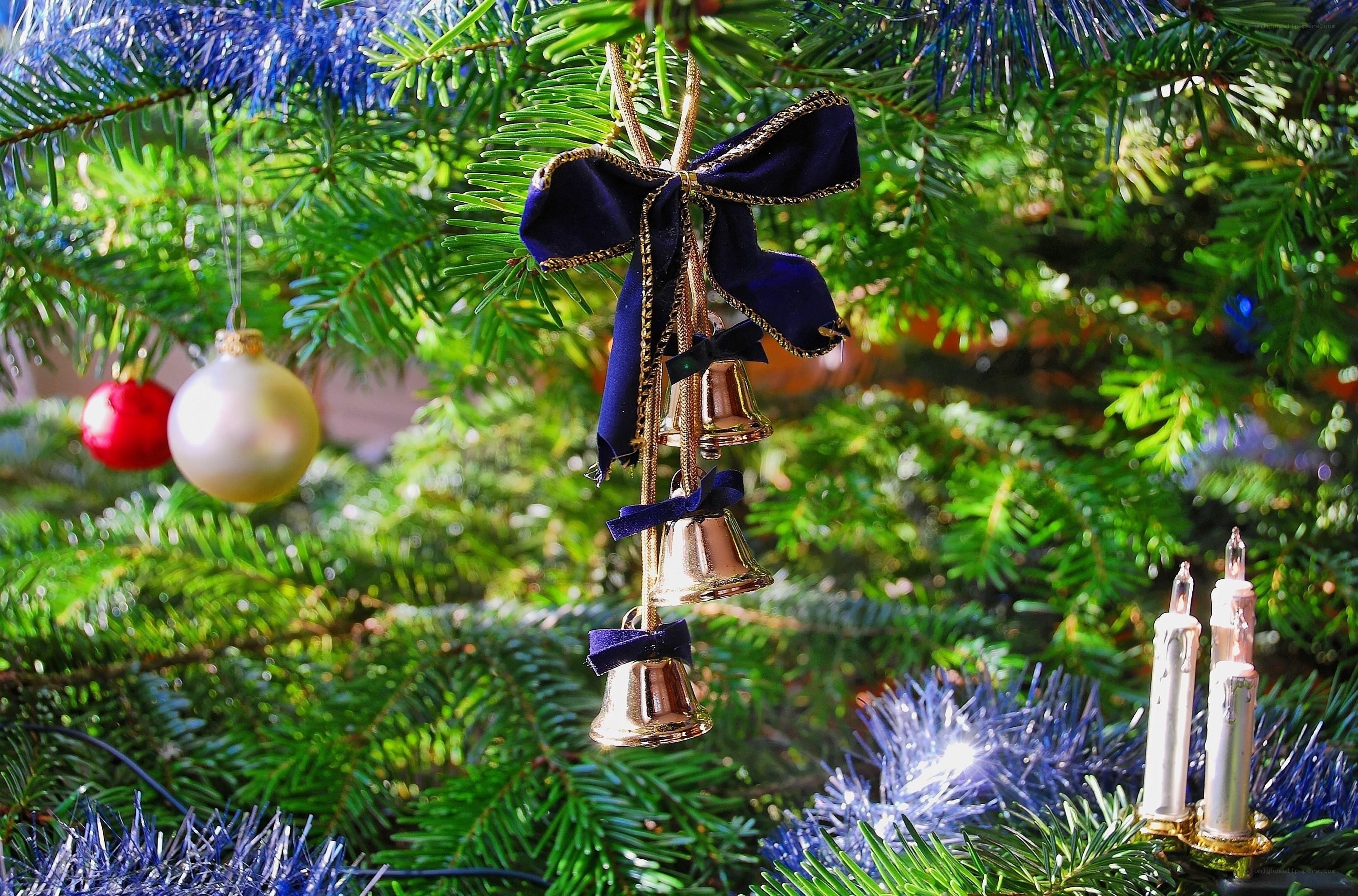 Christmas tree ornaments close-up