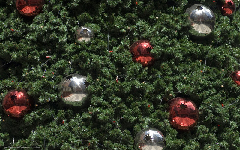 Christmas Tree Ornaments — Green, Festive, Afternoon