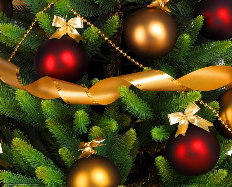 Christmas Tree Ornaments — Green, Festive, Winter, Photograph, Ribbons, Bow