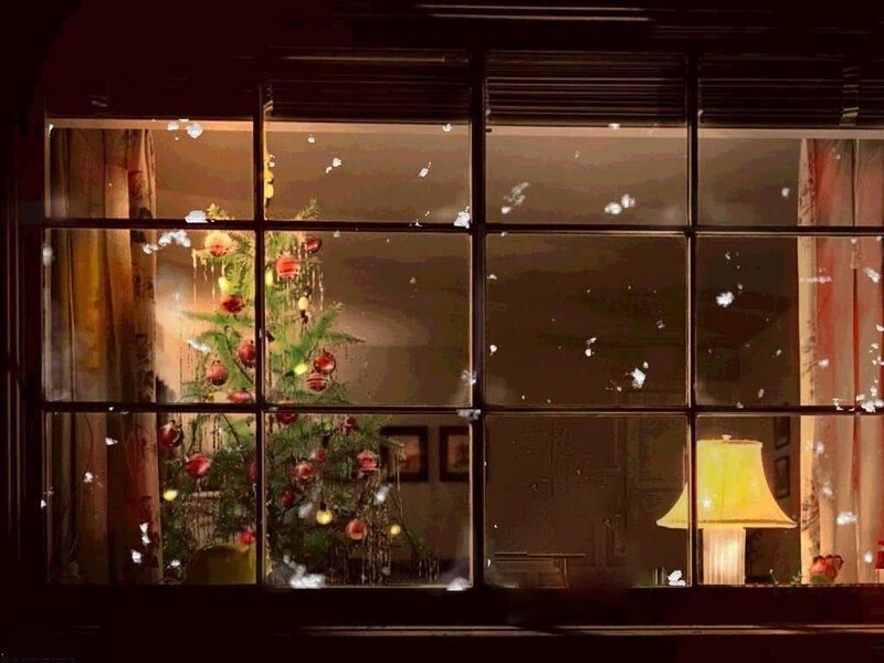 Christmas tree through window