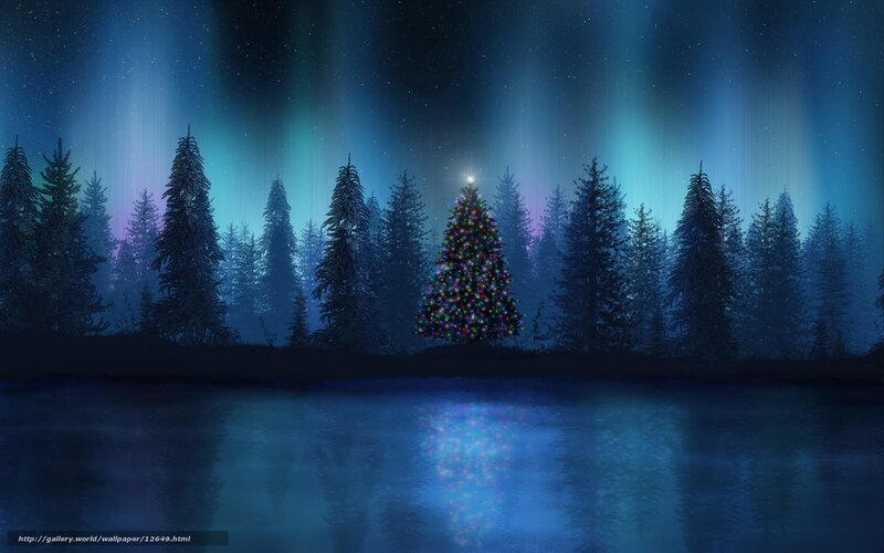 Christmas tree under aurora