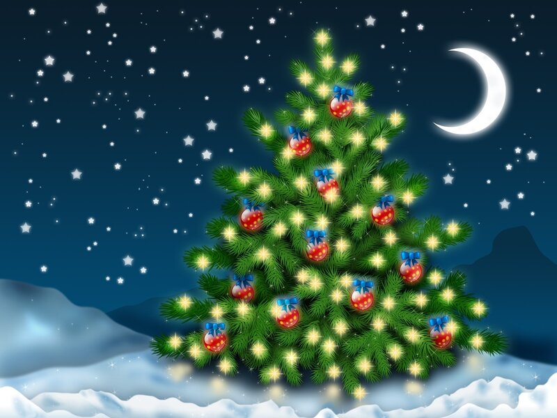 Christmas tree under starry sky