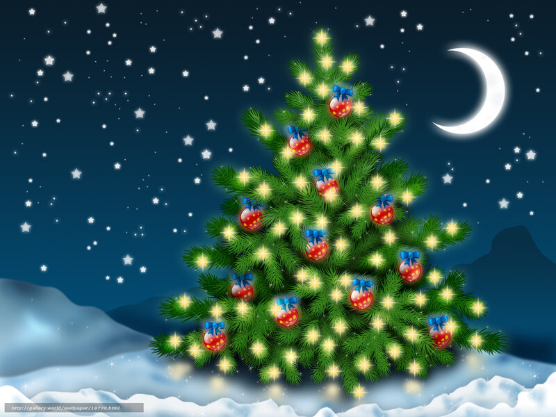 Christmas tree under starry sky