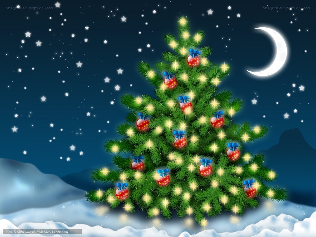 Christmas tree under starry sky