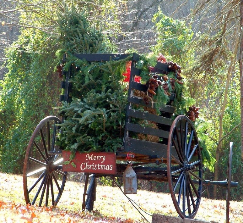 Christmas Tree Wagon