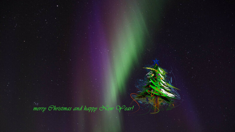 Christmas Tree with Aurora