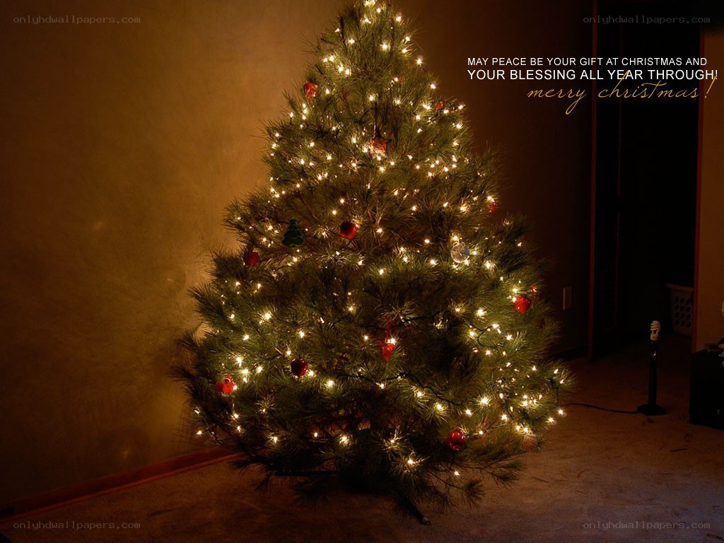 Christmas tree with lights