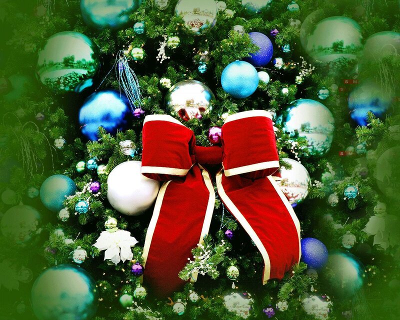 Christmas Tree with Ornaments — Green, Festive, Winter, Photograph, Bow, Pine Needles