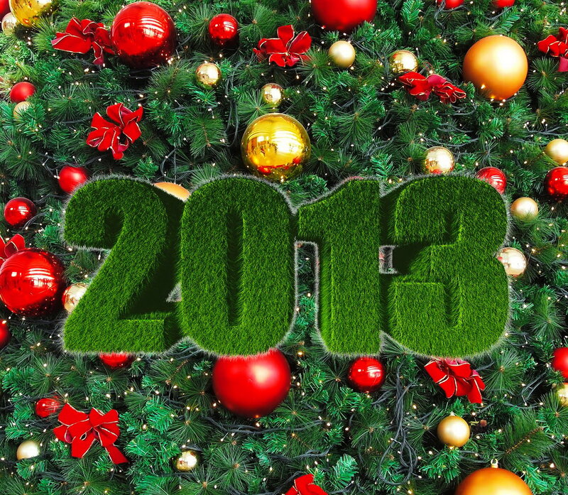 Christmas Tree with Ornaments — Green, Festive, Winter, Photograph, Bows