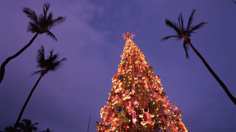 Christmas tree with palm trees