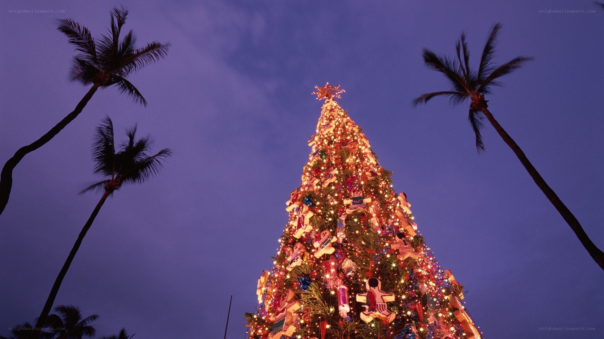 Christmas tree with palm trees