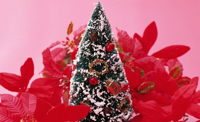 Christmas tree with poinsettias