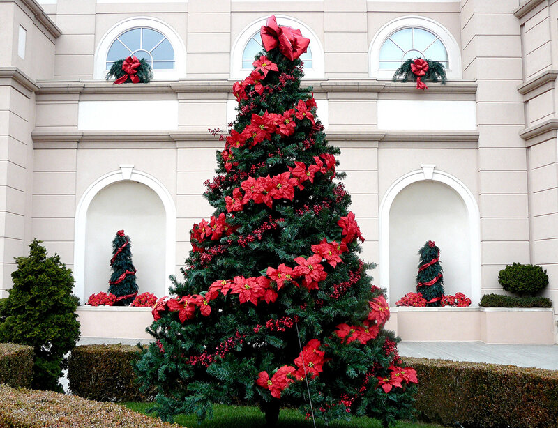 Christmas Tree with Poinsettias — Green