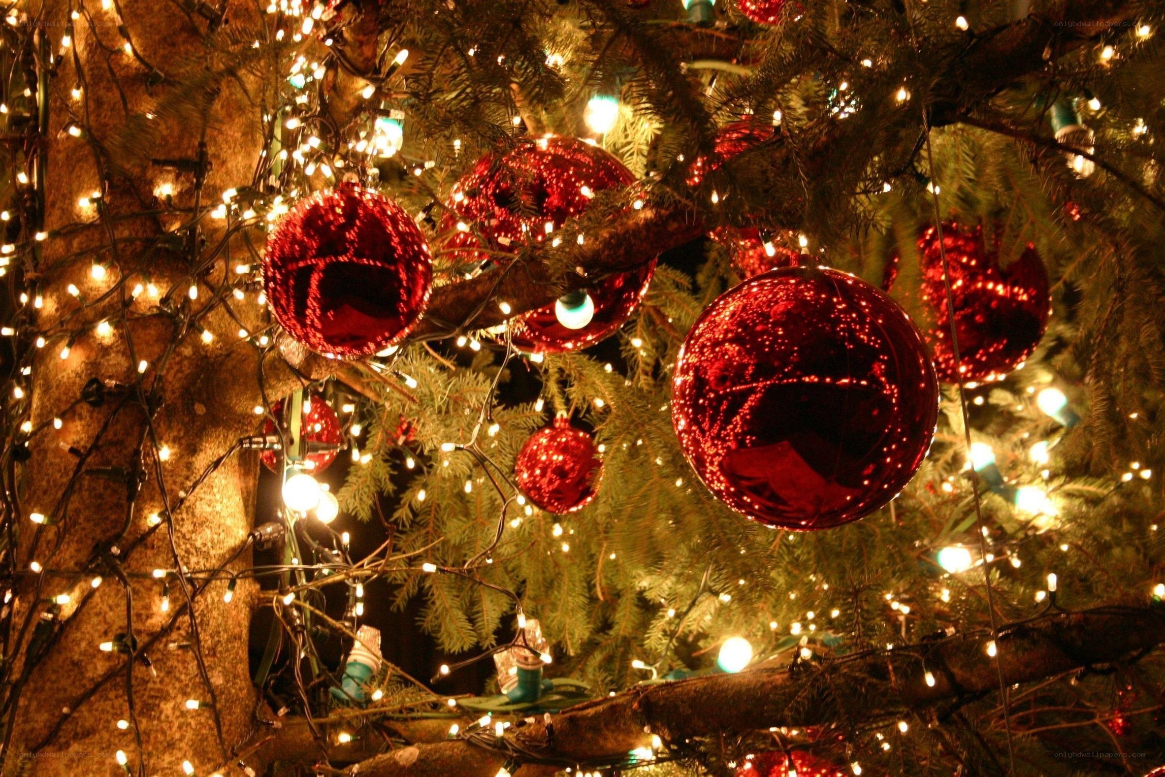 Christmas tree with red ornaments