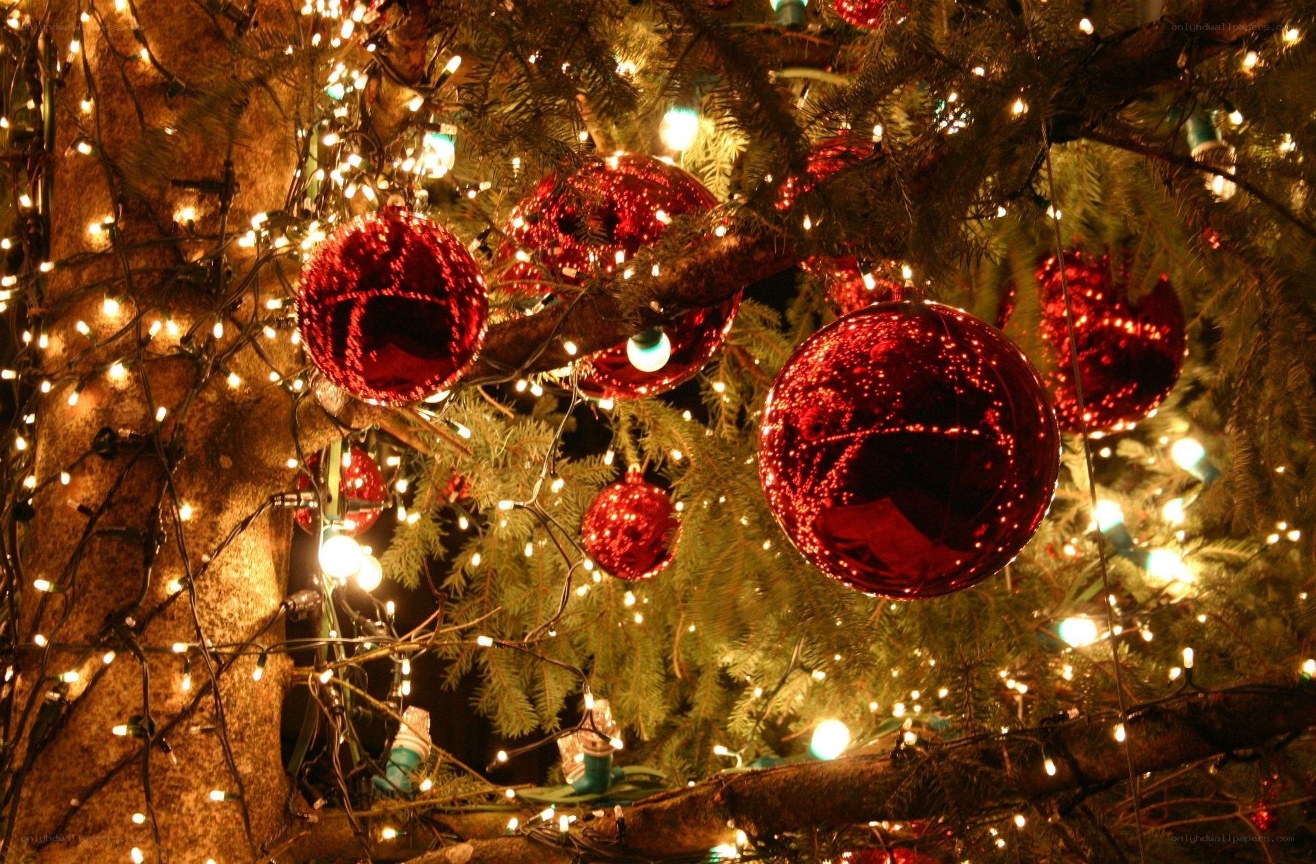 Christmas tree with red ornaments