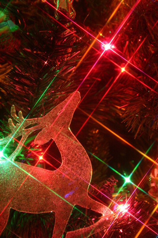 Christmas tree with reindeer ornament
