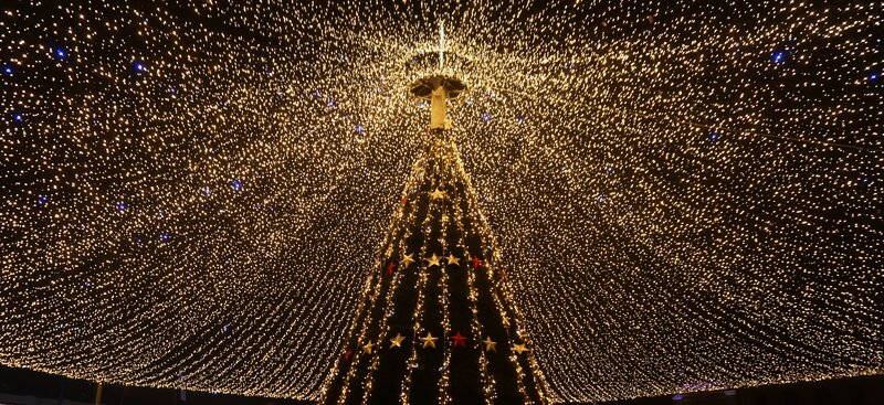 Christmas tree with starry lights