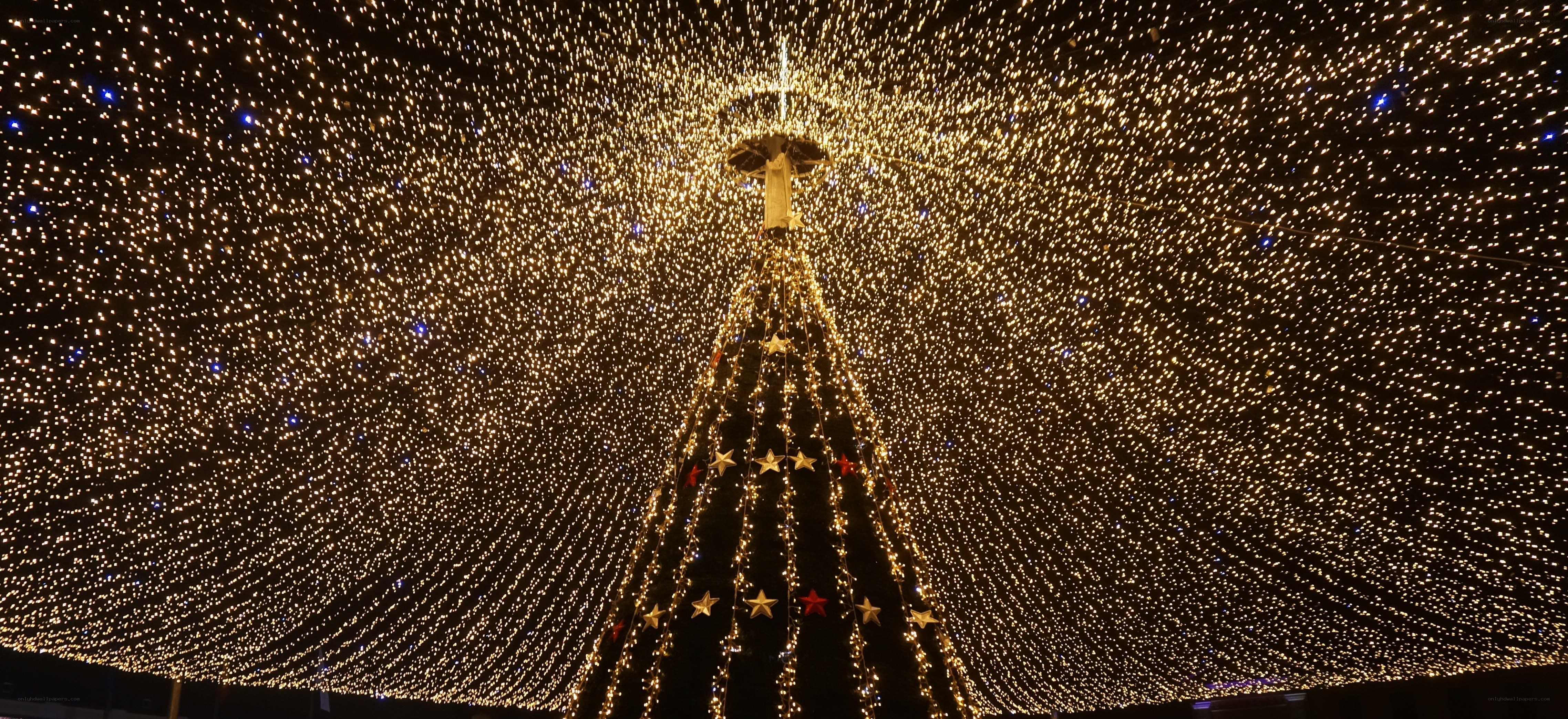 Christmas tree with starry lights