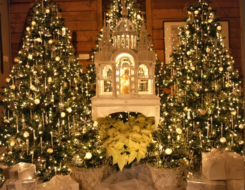 Christmas Trees and Nativity Scene