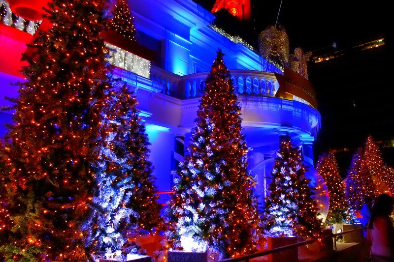 Christmas Trees at Night — Blue, Festive