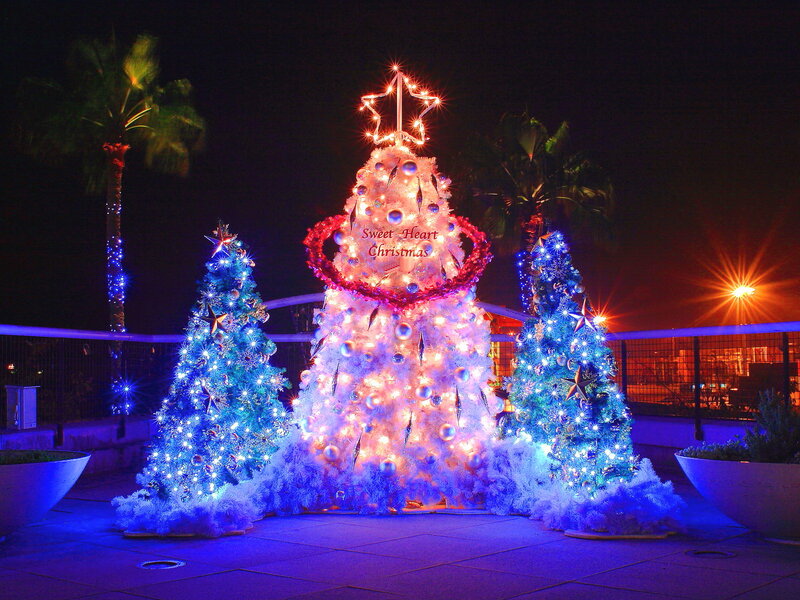 Christmas Trees at Night — Blue