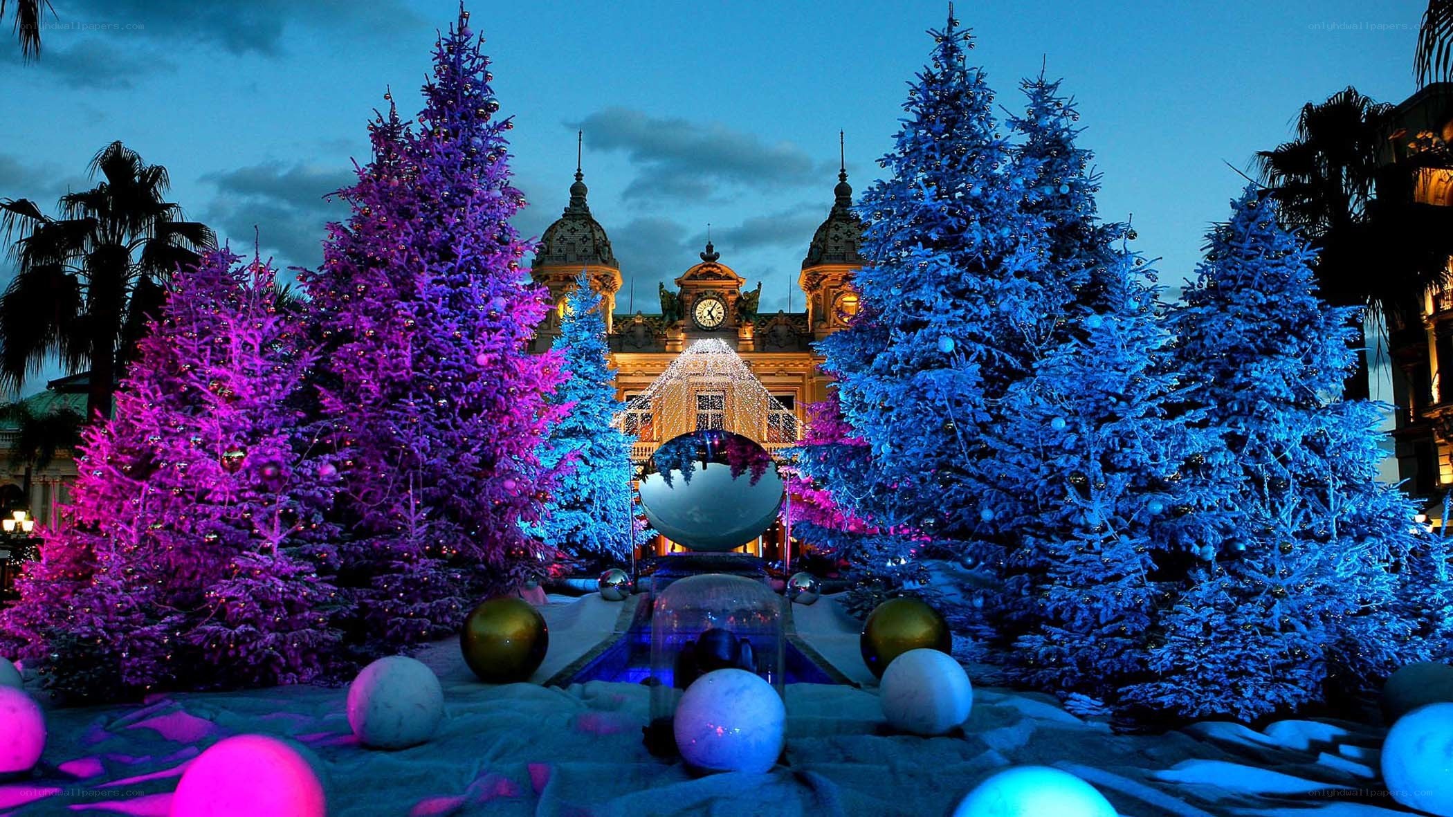 Christmas trees at night in Monaco