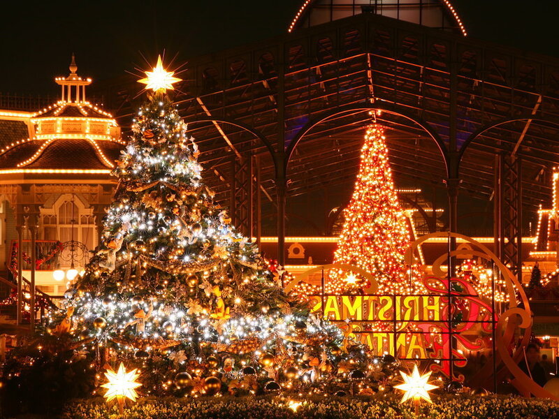 Christmas trees at night