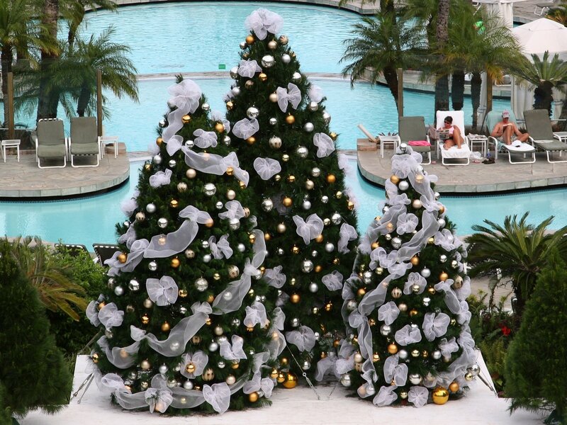 Christmas trees by poolside