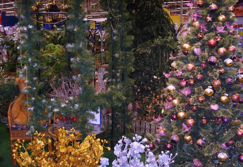 Christmas trees in a store